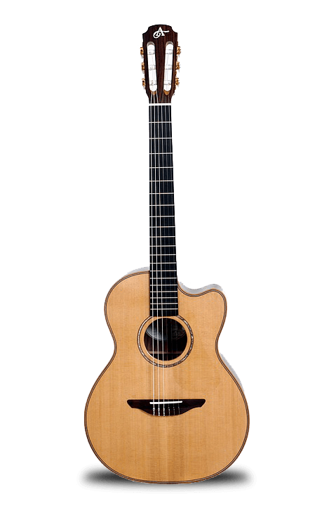 Acoustic Guitar